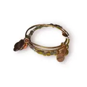 Alex and Ani Bracelet Love Bracelet Cat Charms and Paws