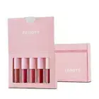 FMT5 Lip Gloss set Long Lasting Glazed Matte Beauty Liquid Lipstick B2S2 R1B6
