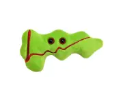 Giant Microbes Pancreas Organ Human Biology Soft Plush Cuddle Stuffed Toy Green