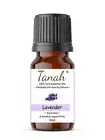 LAVENDER (Australian) Essential Oil (Lavandula angustifolia) Tanah 100% Pure