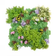 Artificial Dense Succulent Green Wall / Vertical Garden Panel 50cm x 50cm UV Resistant