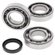 Fits 2006 Polaris Sportsman 450 Crankshaft Bearing Kit 011319