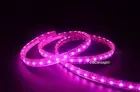 UL Listed,50 Feet,PINK,Dimmable,Super Bright 13500 Lumen 120Volt Flat LED Strip