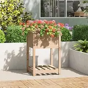Raised Garden Bed, Elevated Planter Box Plant Container with Shelf 54x54x81 cm Solid Wood Pine