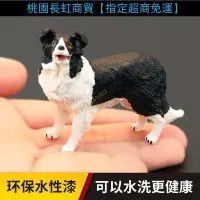 在飛比找蝦皮購物優惠-精選/*實心兒童仿真動物玩具動物模型邊境牧羊犬 柯利 狗狗認