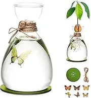 Avocado Seed Vase - DIY Glass Starter With Absorbable Mat and Butterfly Stickers - Tree Growing Vase for Gardening Gifts