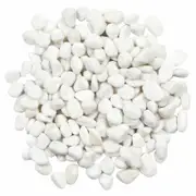 Tuscan Path 10-15mm 10kg Snow White Quartz Pebbles