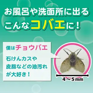 日本 KINCHO 金鳥 驅蛾泡沫噴霧 300ml 排水口專用 驅蟲 驅蛾 蛾蚋 浴室 廁所 現貨出貨