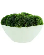 Creative Displays Lush Moss Floral Display