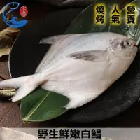 在飛比找鮮拾優惠-【佐佐鮮】野生鮮嫩白鯧220g(5尾組)