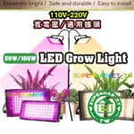 LED植物燈 200W 100W 全光譜 植物生長燈 太陽光 多肉植物燈 魚缸水草生長燈 多肉植物 LED植物燈生長燈