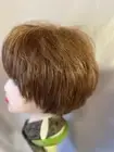 wig nwt synthetic short medium brown w reddish tint/ bangs 9" free wig cap #125