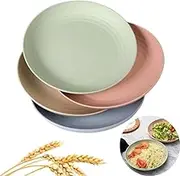 FUNNTY 4pcs Lightweight Wheat Straw Plates,Straw Plate Reusable,Unbreakable Dinner Dishes Outdoor Plates,Dishwasher & Microwave Safe (Big 4 Pcs 9')