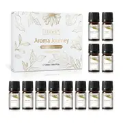 12 Piece Fragrance Oil Set - Coconut Vanilla Amber Romance Forest Pine Leather Strawberry Fresh Linen Scents
