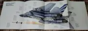 Grumman F-14 F14 F 14 Tomcat Picture Poster Large Aircraft Out of Print Wall Art