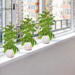 QA_ 室內植物格子室內植物格子架金屬植物格子架用於室內和室外盆栽花卉常春藤支撐樁用於小型室內植物的園藝用品攀爬