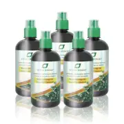 5X Living Jungle Liquid Chlorophyll Lemon Mulberry 500ml Immune & Energy Boost