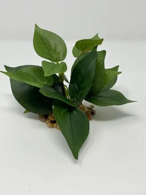 3" XS (2-stem) All Green POTHOS Bush, soft silk Pothos plant, stone base