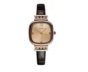 W51 Coffee Color Ladies Small Square Watch Retro Simple Belt Waterproof Quartz Watch Retro Girls Decorative Wristband Jewelry