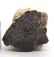 Meteorite NEA 023 LL7 Poikiloblastic chondrite meteorite, rare LL 7 meteorite