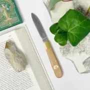 Beemaster Otter Messer Traditional German Folding Pocket Knife in Pear Tree Wood
