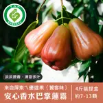 【美夢成真GCISHOP】履歷屏東香水巴掌蓮霧4斤裝(優選大粒果．自然蔗香．清甜回甘)