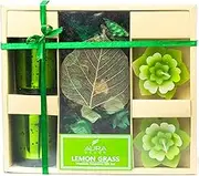 AuraDecor Candle Gift Set || Candle Holder || Floating Candle || Potpourri || Corporate Gift || Gift Set || Tealight Candles|| Aromatherapy || Aroma Set (Lemon Grass)
