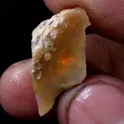 12.60 CTS. Ethiopian BIG Fire Opal Welo Rough AAA+ FIRE Cutting Grade USA DEALER