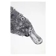 50cmx70cm Marini Ferlazzo Tea Towel Dish Cloth Platypus WHT Maxwell & Williams