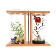 Mini Fish Tank, Small Aquarium Fish Tank Kit with LED Light, Dual Glass Deskt...