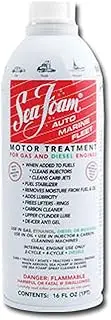 Seafoam Sf-16 Motor Treatment 16 Oz. Can (1)