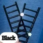 Jumping Spider Climbing Ladders In Black ￼
