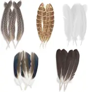 20Pcs Pheasant Feathers Decorations, 5 Styles Natural Feathers Mixed Spotted Cra