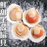 在飛比找蝦皮購物優惠-鮮讚｜鮮甜半殼扇貝 台中可自取 扇貝 干貝 貝柱 帆立貝 帶