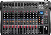 Depensheng DX12 Studio Mixer - 12 Channels with USB for Recording & Performance