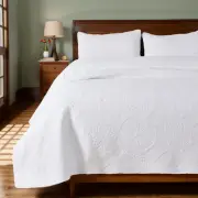 Luxury White Quilt Bedding Set Queen Size Bedspread Elegant Medallion Matelas...