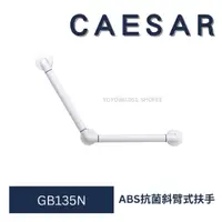 在飛比找蝦皮購物優惠-caesar 凱撒衛浴 GB135N ABS抗菌扶手 協壁式