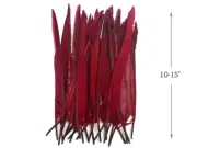 10 Pieces - Burgundy Goose Pointers Long Primaries Wing Feathers Costume Angel