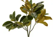 NOLIA TREE 122CM Tree