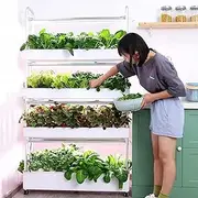 Indoor Garden Hydroponic Growing System Kit,48/64/90/120 Holes Hydroponics Tower Set with LED Grow Light,Hydroponic Vertical Tower Self-Watering Growing System,for Planting Vegetables(48hole)