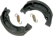 SBS Brake Shoes w/Springs (2015)
