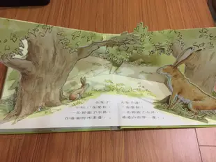 二手書 猜猜我有多愛你 立體遊戲書 立體翻翻書