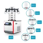 Lab Mini Vacuum Freeze Dryer Lyophilization Equipment With Vacuum Pump Chemical