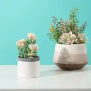 Potted Botanica Artificial Succulent Fake Plants Landscap Home Decor in Pot