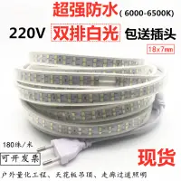 在飛比找淘寶網優惠-防水220V2835雙排白光LED燈帶220V雙排白色LED