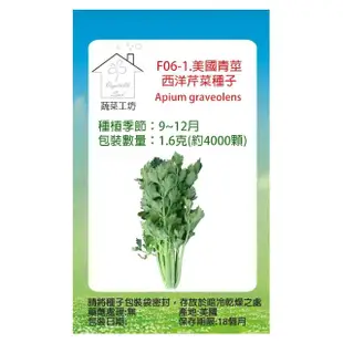 【蔬菜工坊】F06-1.美國青莖西洋芹菜種子1.6克(約4000顆)