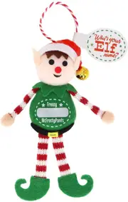 Name Your Elf - Male Plush Toy