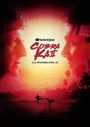 Free Same Day Shipping COBRA KAI Season 1 Borderless 11x17 Poster