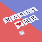 Swallowtail Flags Hanging Garland Engagement Propose Wedding
