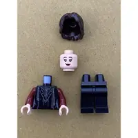 在飛比找蝦皮購物優惠-LEGO 樂高人偶 小仙女·東施 哈利波特 75980